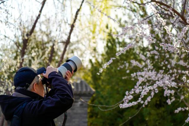 沿着7号线逛东城,解锁藏在一蔬一饭、一步一景里的“小确幸”→