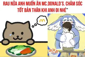 越南诸国齐哭丧，胖猫为何让东南亚赛博泪崩图片