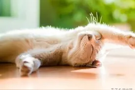 破案了！某“女明星”睡觉突然抽搐原因竟是这般！图片