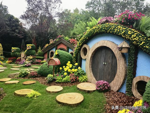 杭州植物园的菊花展——一场关于菊花的饕餮盛宴（二）