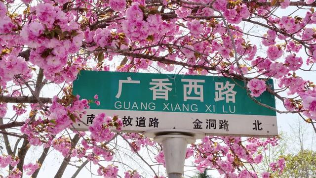 在两当，春天就要Color Walk→