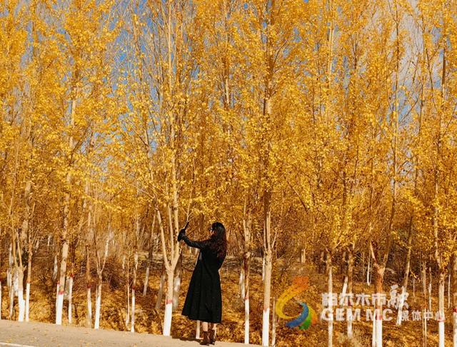 收藏！格尔木秋日美景，这份视觉盛宴千万别错过