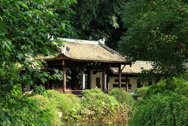 成都最值得去的6大免费景点，太好玩了！送给第一次去成都的你