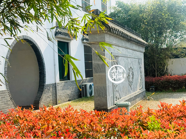 实拍丹阳建山行政村陈山自然村唐氏宗祠，多图
