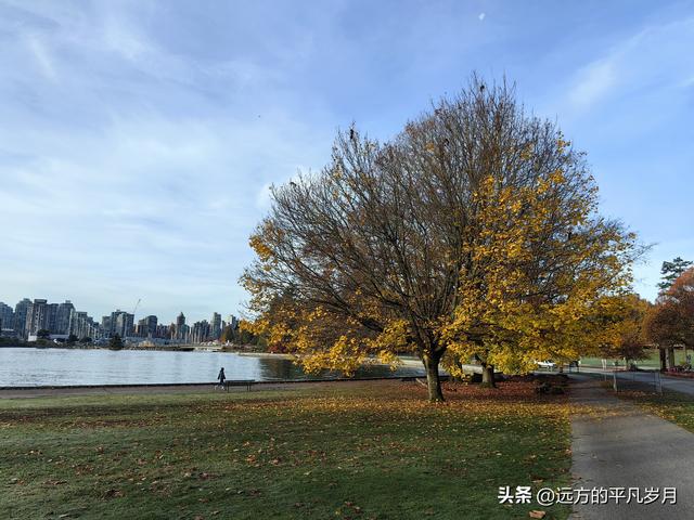 温哥华游记（四）