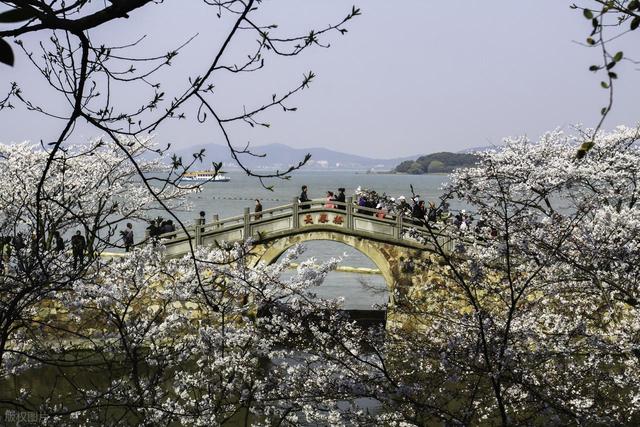 3月4月，10处绝佳踏春地，寻春踏青安排起来
