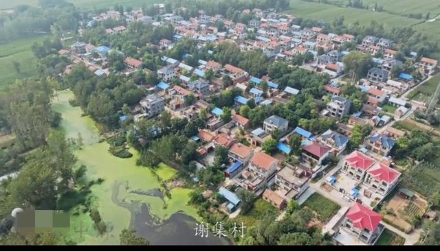 魅力曹县楼庄镇