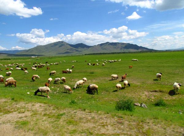 亚洲旅游：难忘自驾穿越蒙古国散记（图）