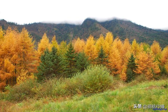 大熊猫栖息地——宝兴神木垒风光