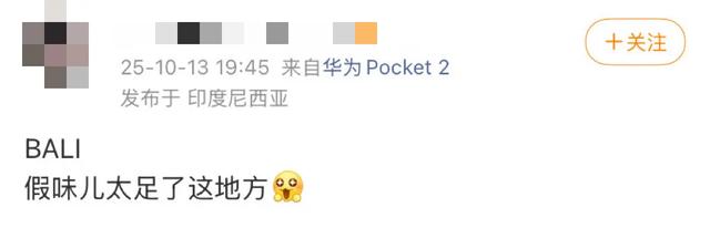 阻止我去巴厘岛旅游的唯一理由: