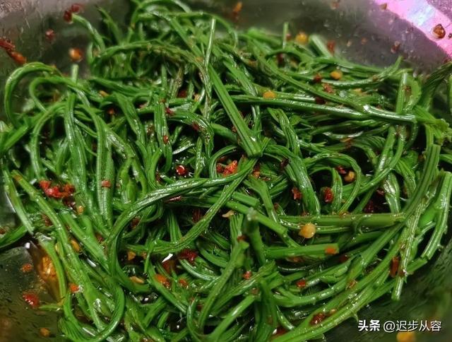 震惊！！名字带“臭”却真香