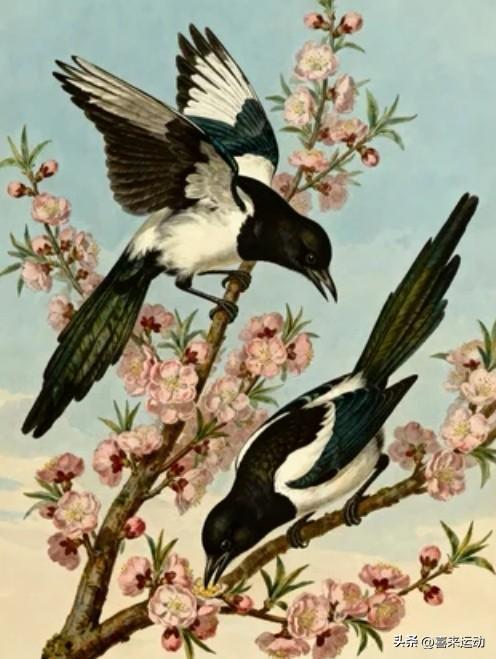 男人触摸女人这里，比亲吻、拥抱都上头，你知道吗？