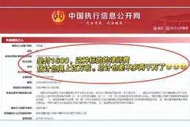 朱丹被骗案后续，判决书曝光总金额达2000万，周一围细节感动网友图片