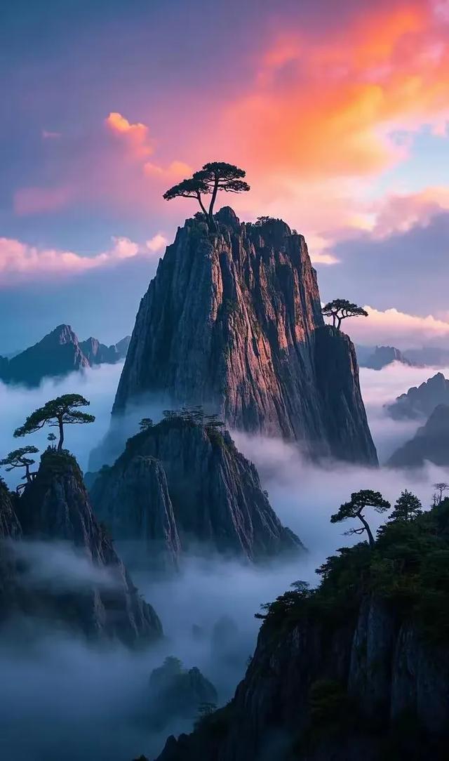 手机壁纸精美图片（98）