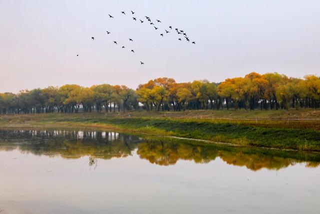 暴降20℃！呼和浩特限定奇观！呼市人“一待就是一整天”