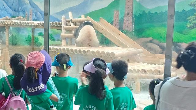 绵阳北川“文旅+”全业态融合 激发消费新活力