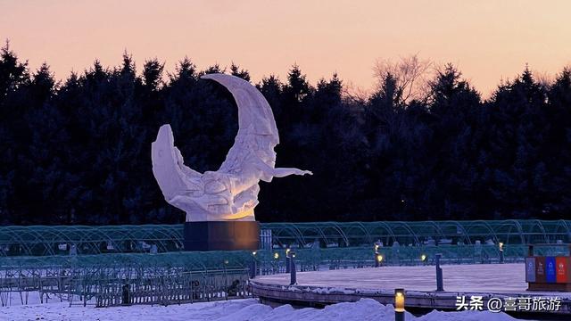 长春城市绿肺！我在净月潭洗了场22度森林浴，还乘了夜光星空缆车