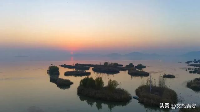 泰安“天空之镜”大火!连片芦苇+落日余晖 美到尖叫