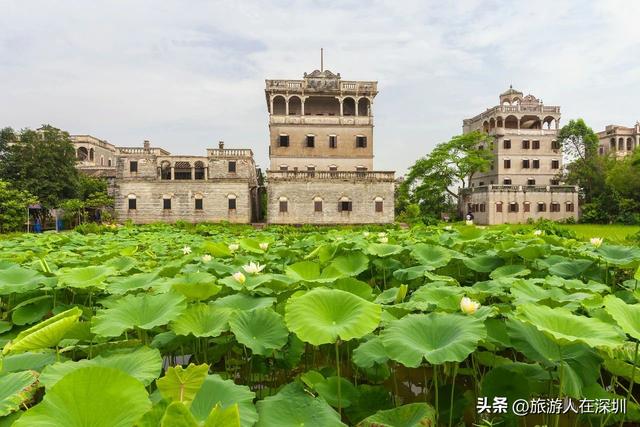 江门旅游去哪里好玩？2天1晚经典行程推荐，沉醉于碉楼山水美食