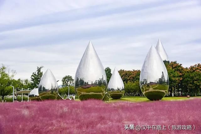 汉中湿地公园的秋已上线，随手拍都是治愈感！