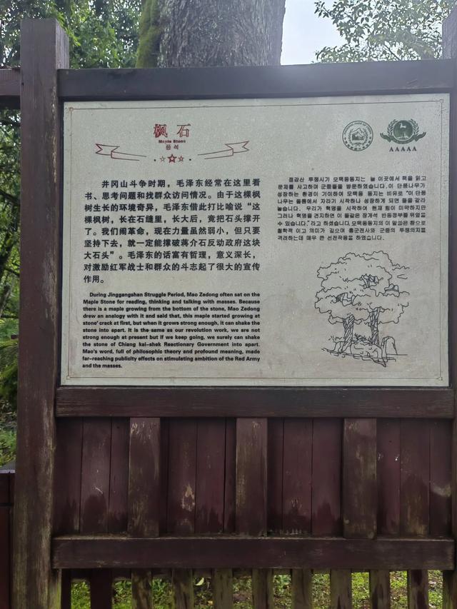 我们在井冈山参观了几个著名的革命遗迹