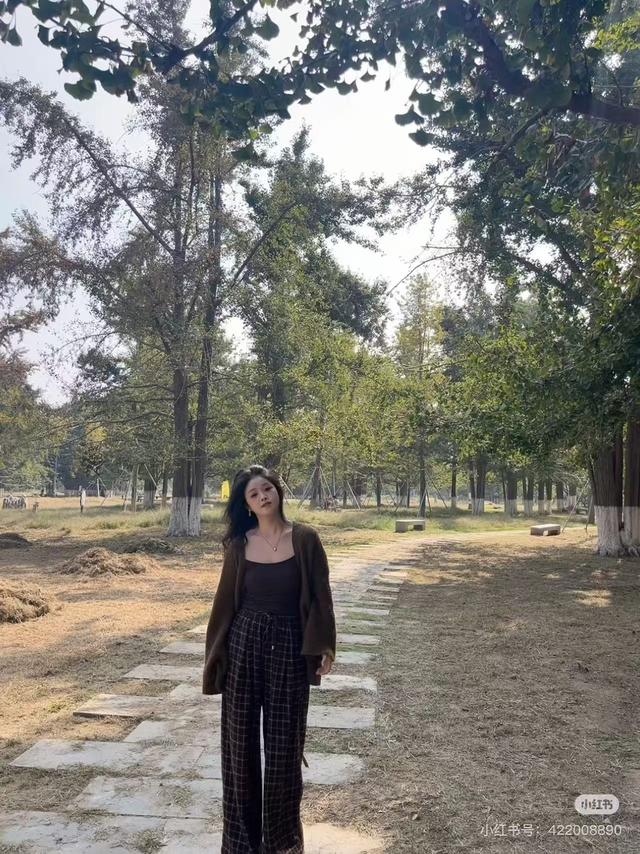 临沂秋日捡秋啦 | 把秋天，装进你的时间胶囊~