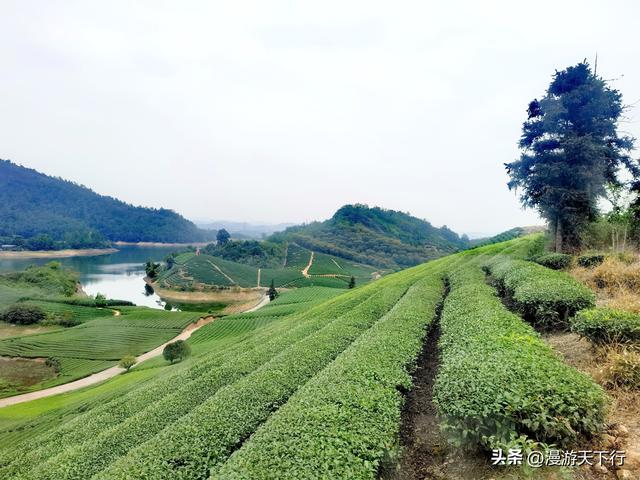 武义郭洞号称江南第一风水村，连坞茶山犹如地球指纹