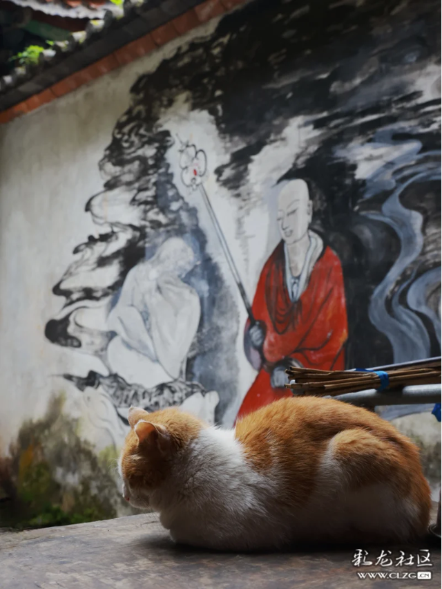 夏日避暑旅行｜徒步苍山莫残溪，往返16公里累并快乐着！