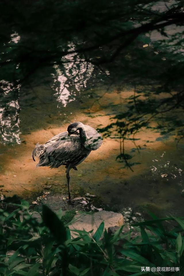 渔洋山人逛虎丘