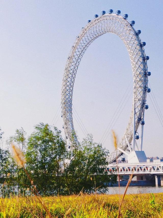 奔“区”潍坊！“趣”游滨海 欢乐无限！