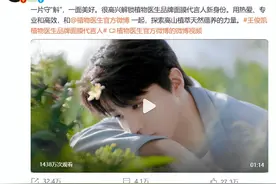植物医生携手面膜代言人王俊凯，共谱品牌新乐章图片