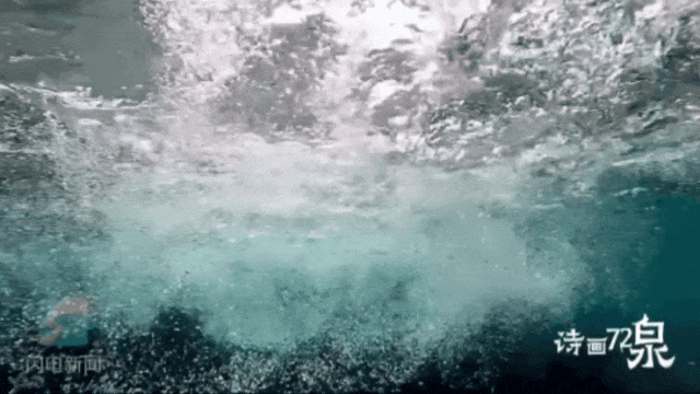 被济南泉水下的世界惊艳到了！