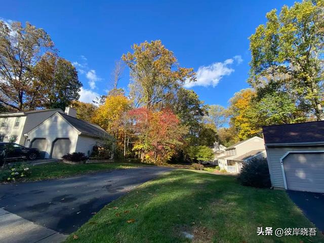 我和约翰的异国情缘22 手机和驾照都被拒绝