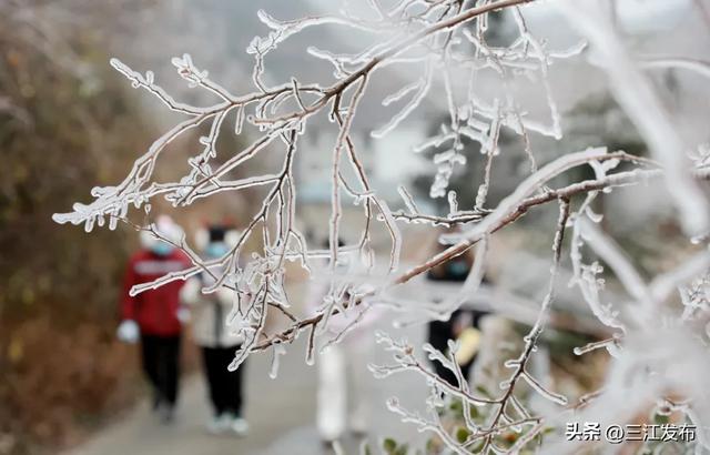 绝美!三江大塘坳惊现“琉璃仙境”!