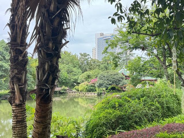 桂湖公园