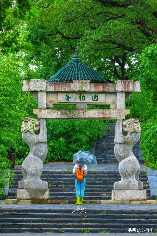 武汉的夏天，有多热就有多美！东湖听雨感受一场“风雅集”