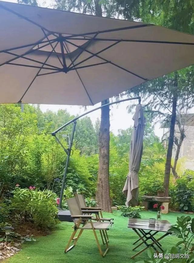 天晴就去！鸥鸟翩跹，这个免费国家级公园，藏着昆明最美的冬天