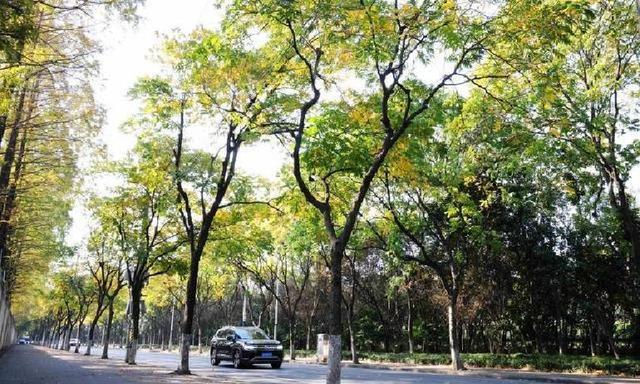 如果您欠几十万就崩溃？听完这段话您会马上清醒！