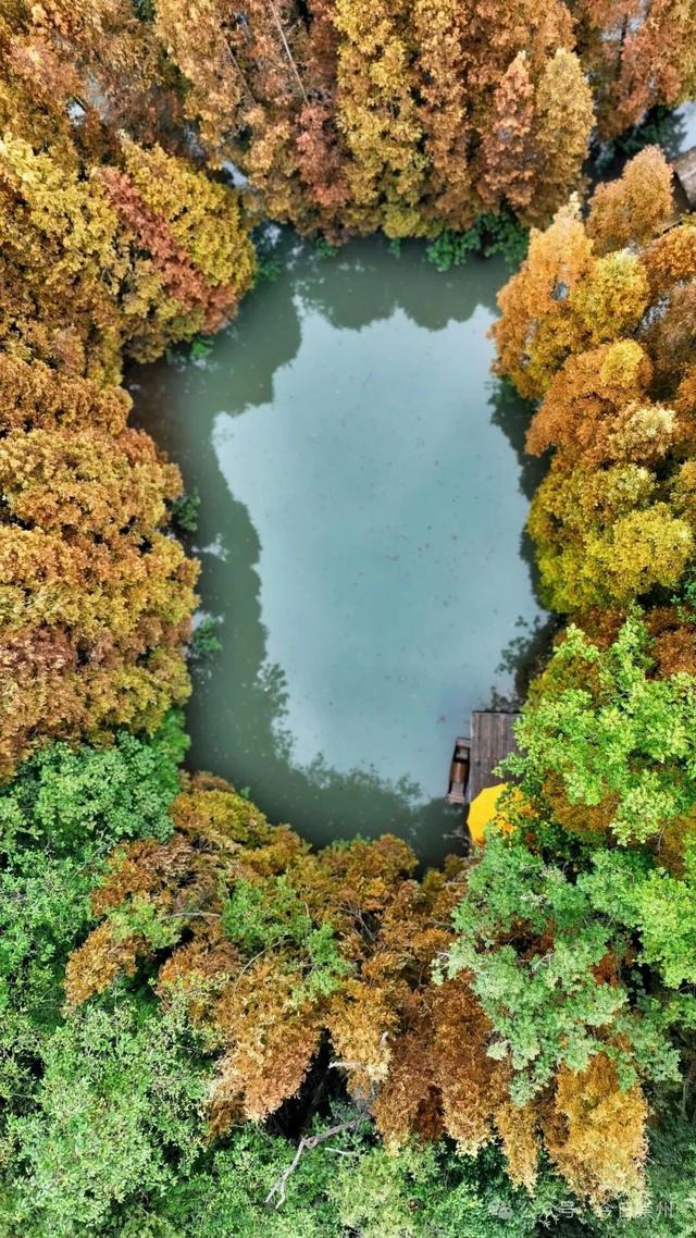 秋假去哪？崇州这些亲子游宝藏地不容错过