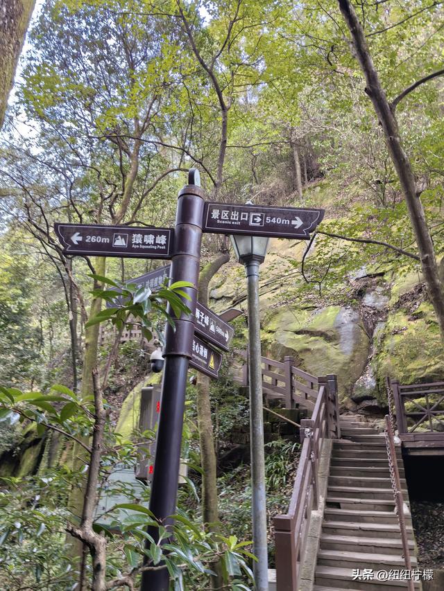 户外徒步之挑战缙云九峰，从健身梯道到狮子峰，走了四小时