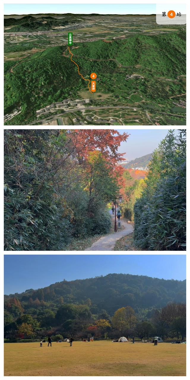 杭州小而美徒步路线：斑斓而沉默的超山，人少景美