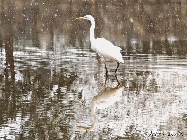 雪落中站，解锁冬日五彩新画卷