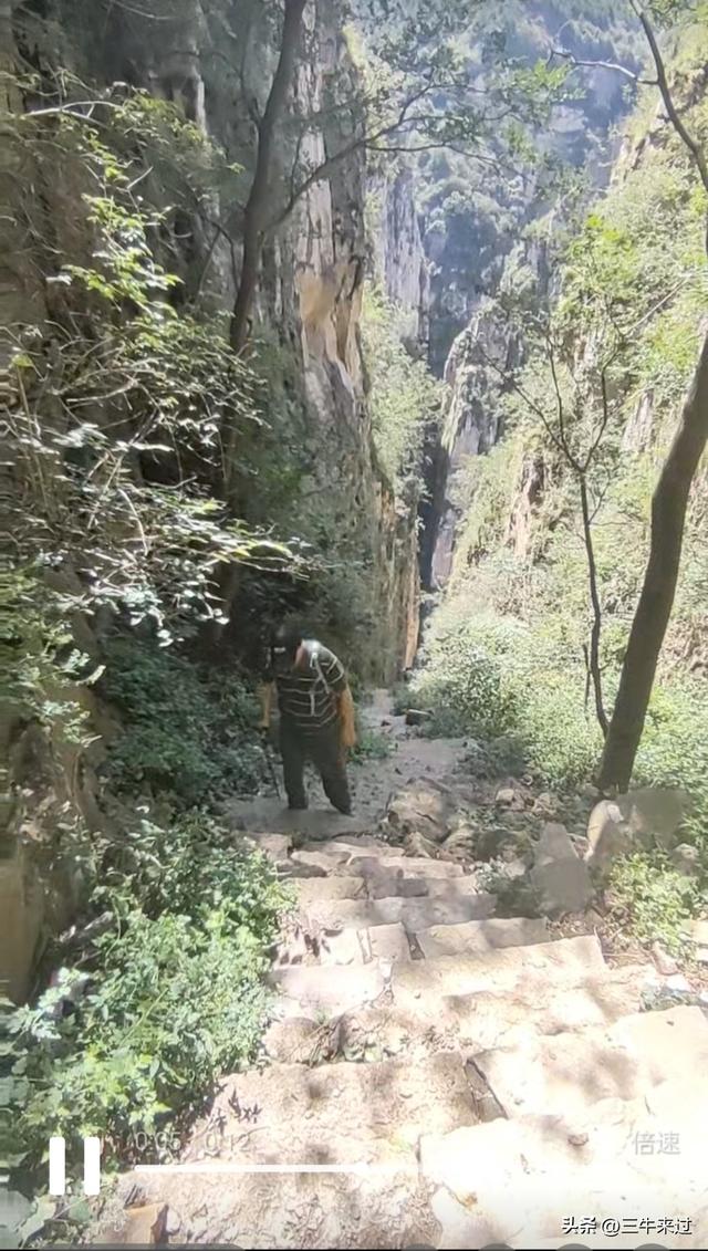 无为在歧路，壶关林州大名府7