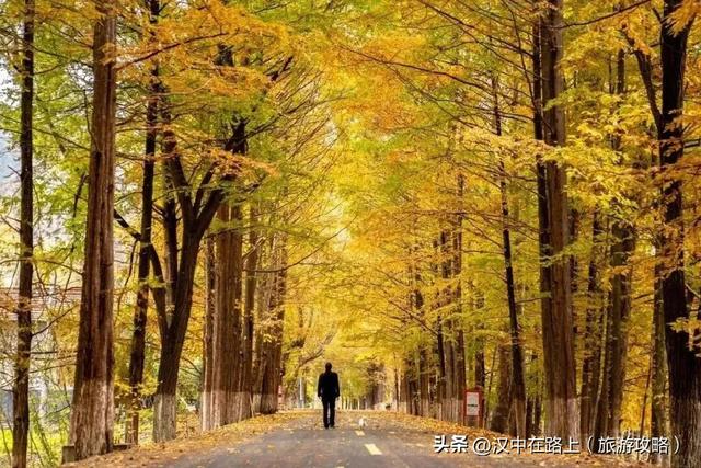 秋假即将开启，汉中多景区发布免票优惠政策→