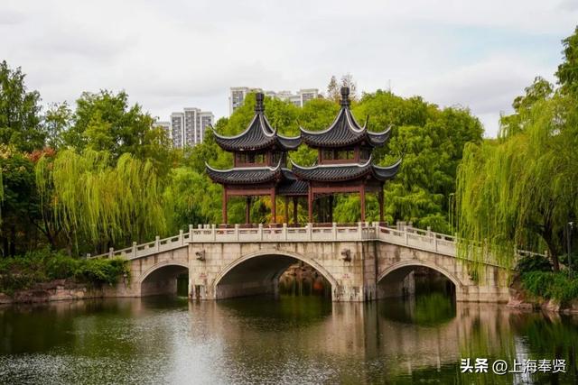 谁懂啊！这些打卡地的秋，连落叶都在教你拍照→