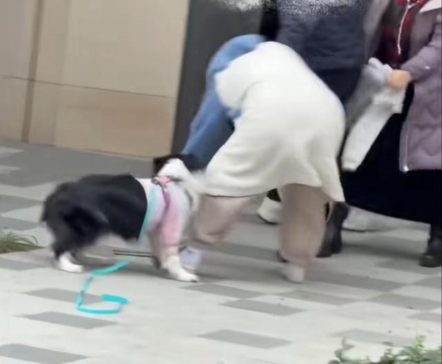 “小姐姐牵绳遛狗被一家人围殴，邻居帮忙作证也被打伤！打人男子还扬言要杀狗…	”警方调取监控	，已立案