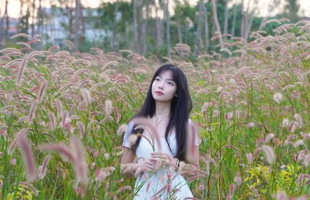 在多彩花海间，邂逅湛江的浪漫初冬！