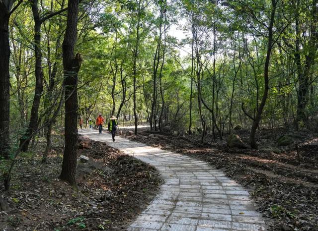 明光徒步新选择！