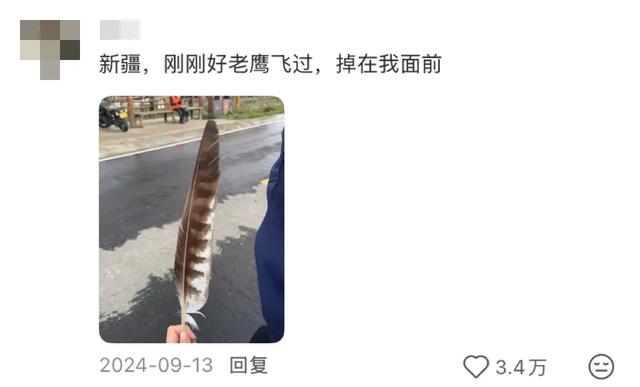 这可能是我买过的最离谱的特产：