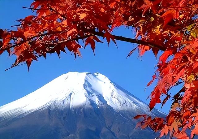 大量日本游客涌入北京，打着旅游幌子不去旅游不吃美食。为啥来？
